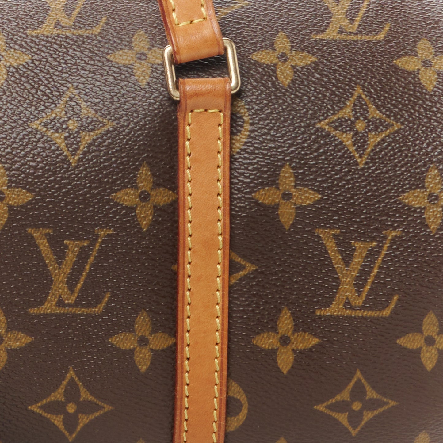 Monogram Papillon 30 with Companion