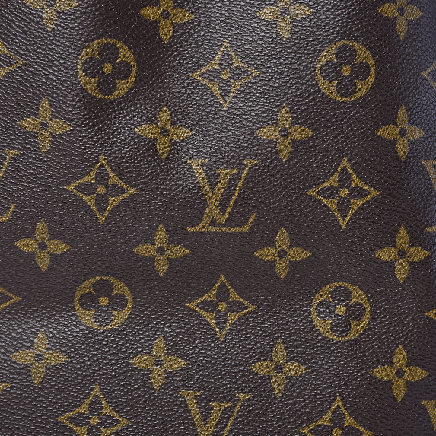 Monogram Petit Noe