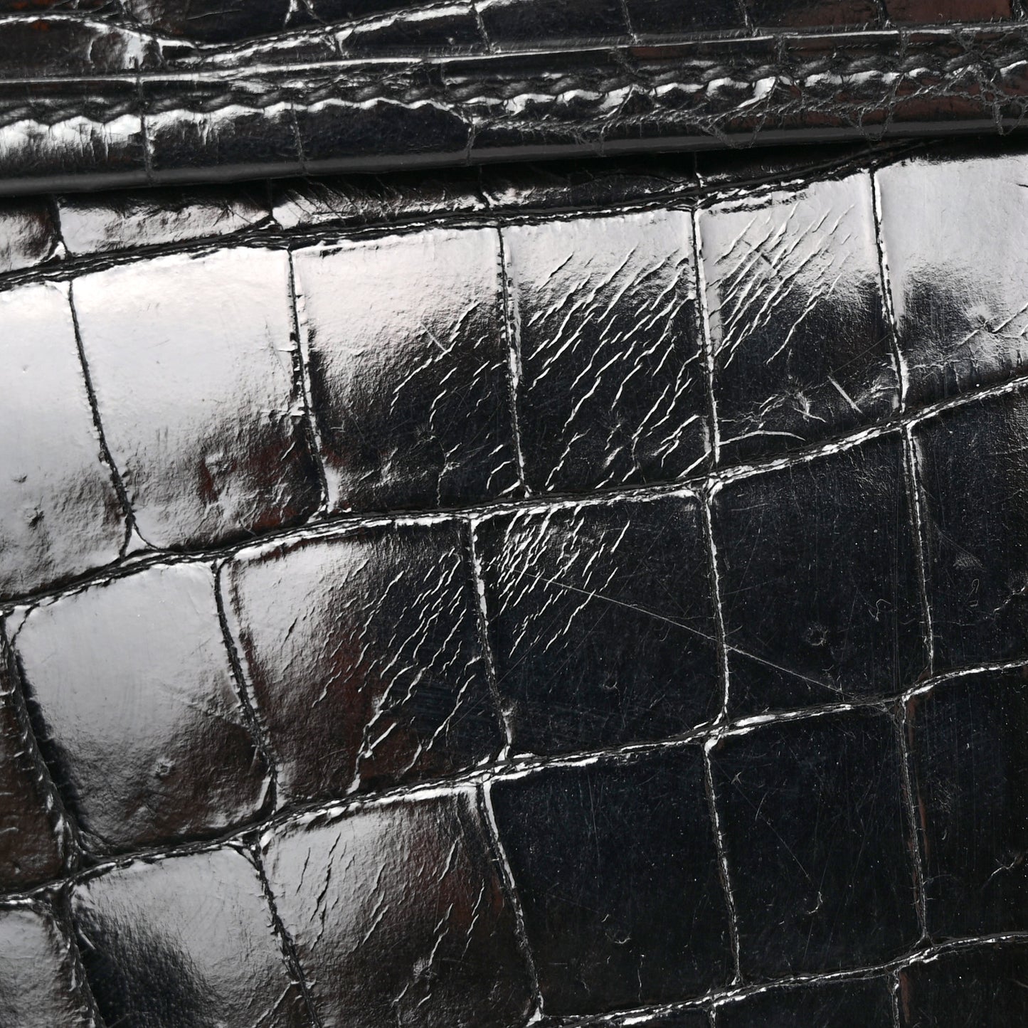 Shiny Niloticus Crocodile Jige Elan 29 Clutch Black