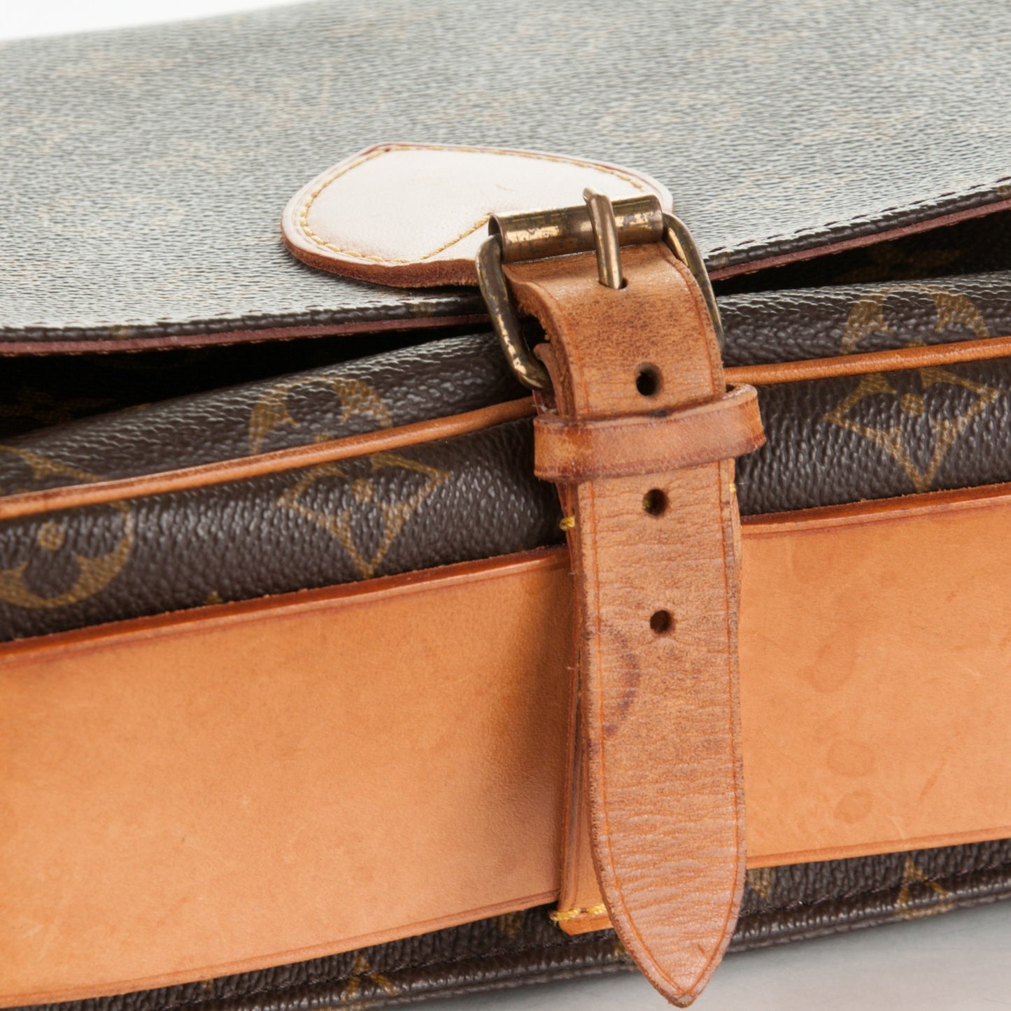 Monogram Cartouchiere 22