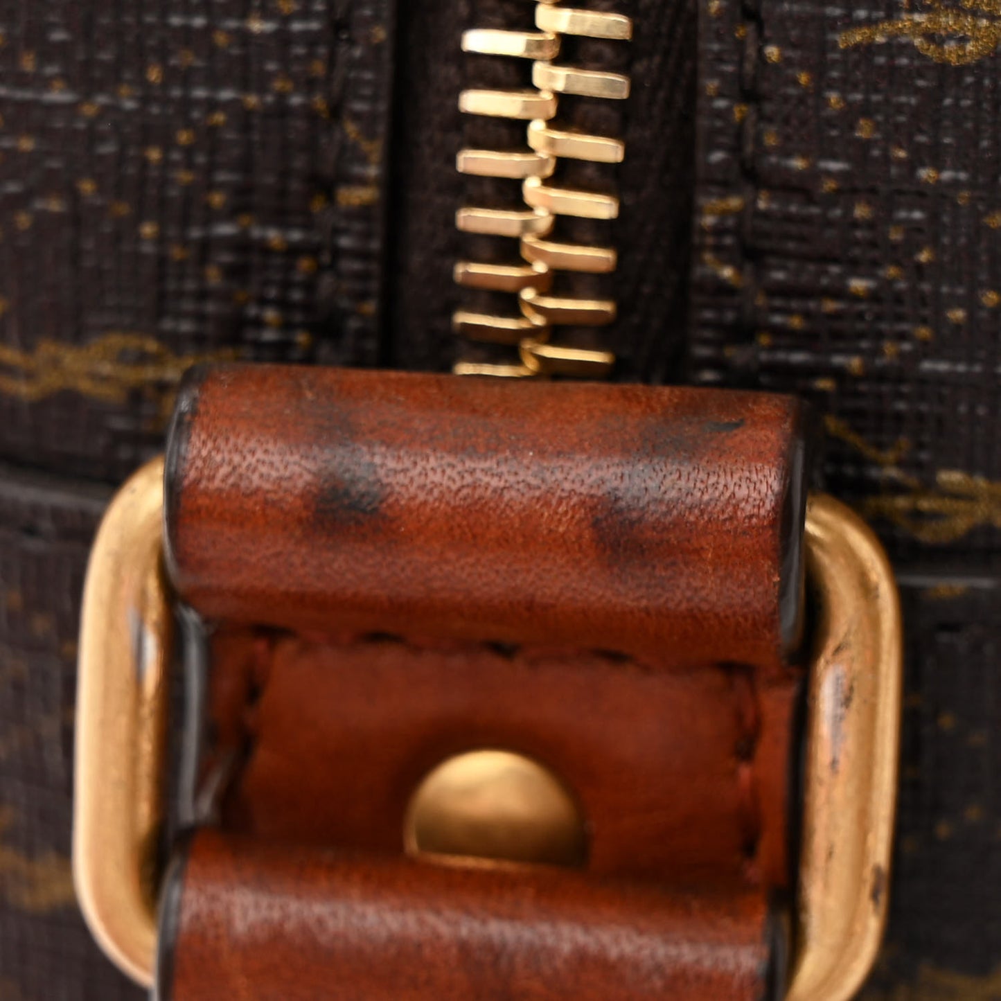 Canvas Smooth Calfskin Le Monogramme Camera Bag Chestnut