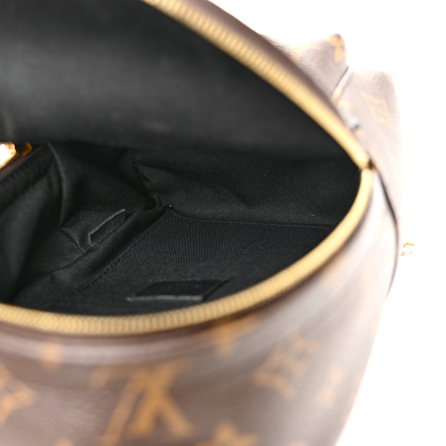 Louis Vuitton Monogram Palm Springs Backpack Mini 5 of 10