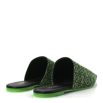 Loewe Jacquard Anagram Calfskin Pointy Mule Sandals 40 Apple Green 4 of 11