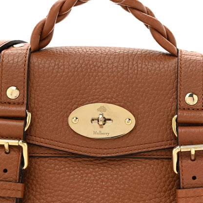 Mulberry Heavy Grain Mini Alexa Chestnut 7 of 12