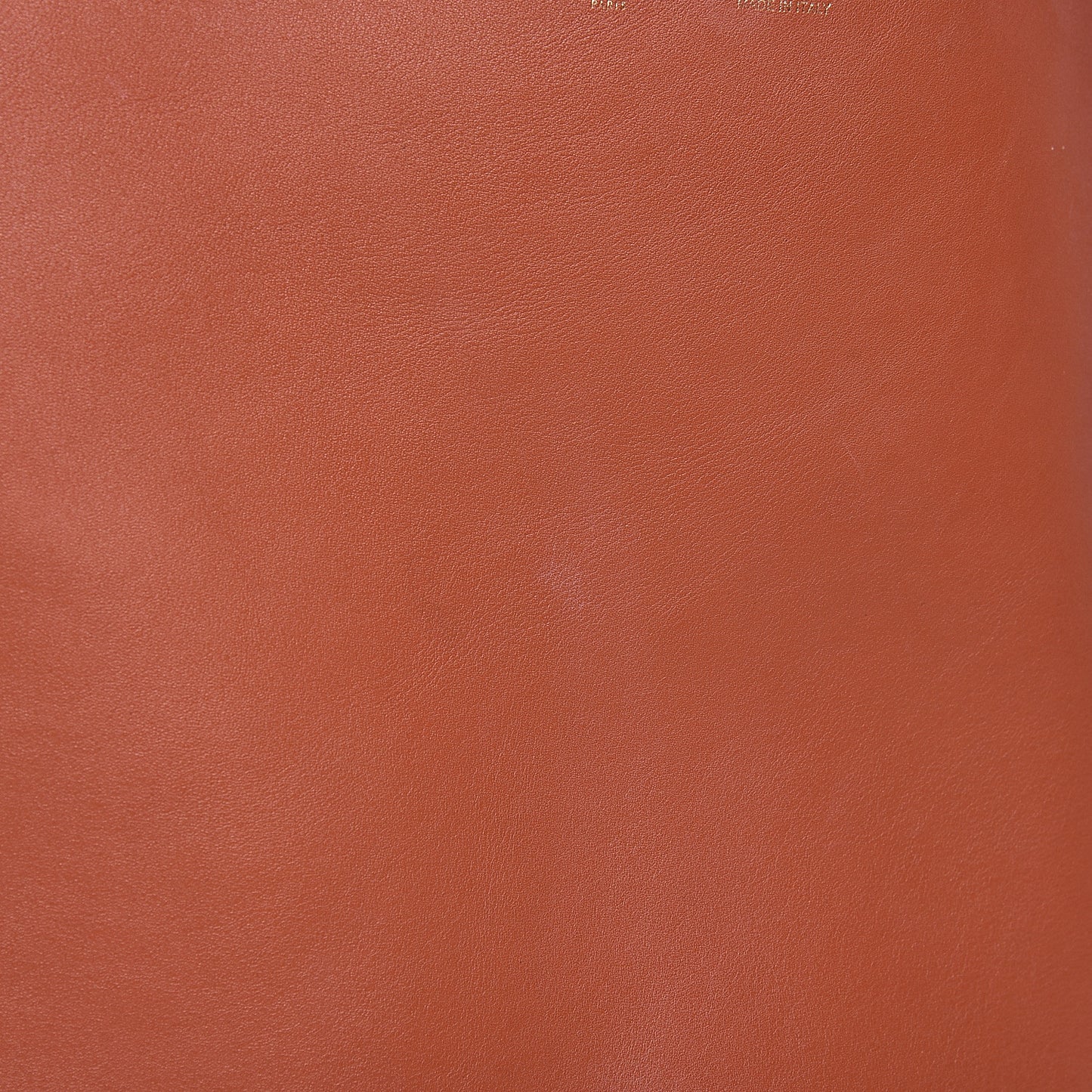 Shiny Smooth Calfskin Zebra Printed Felt Small Twisted Cabas Chalk Brick