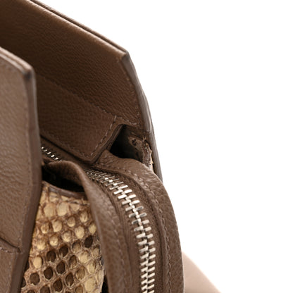 Saint Laurent Grained Calfskin Snakeskin Small Cabas Rive Gauche Taupe 12 of 19