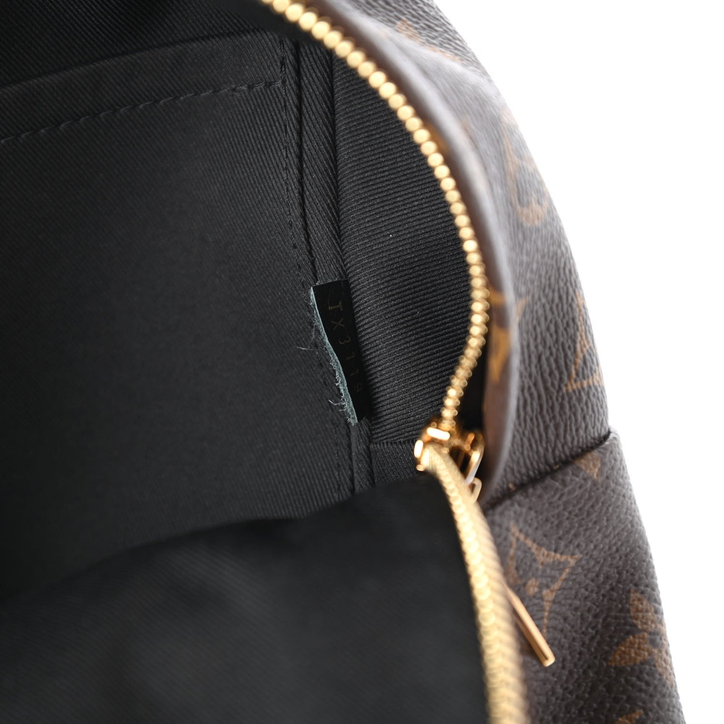Monogram Palm Springs Backpack PM