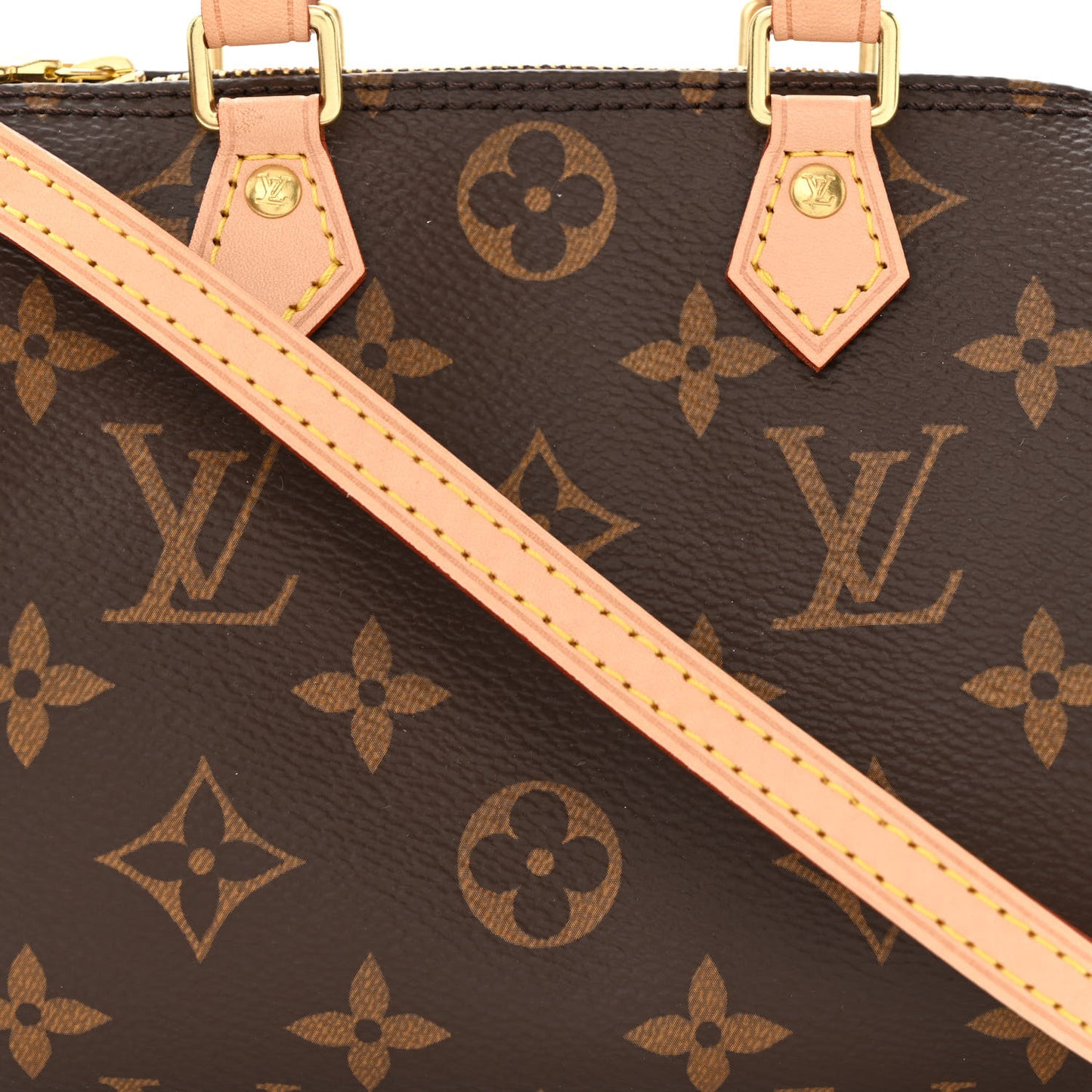 Monogram Nano Speedy