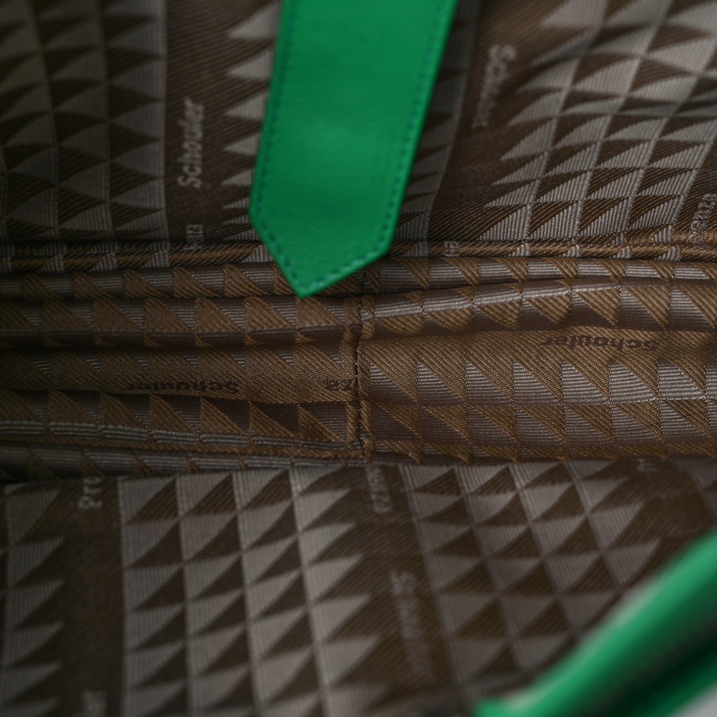 Lambskin Medium PS1 Satchel Aloe