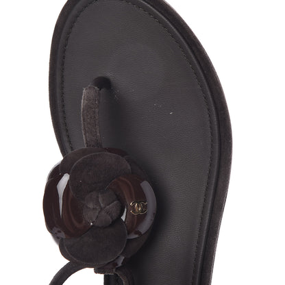 Chanel Suede Patent Calfskin Camellia Thong Sandals 38 Dark Brown 10 of 10