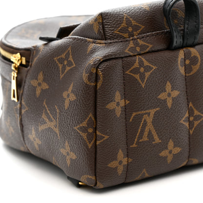 Louis Vuitton Monogram Palm Springs Backpack Mini 9 of 12