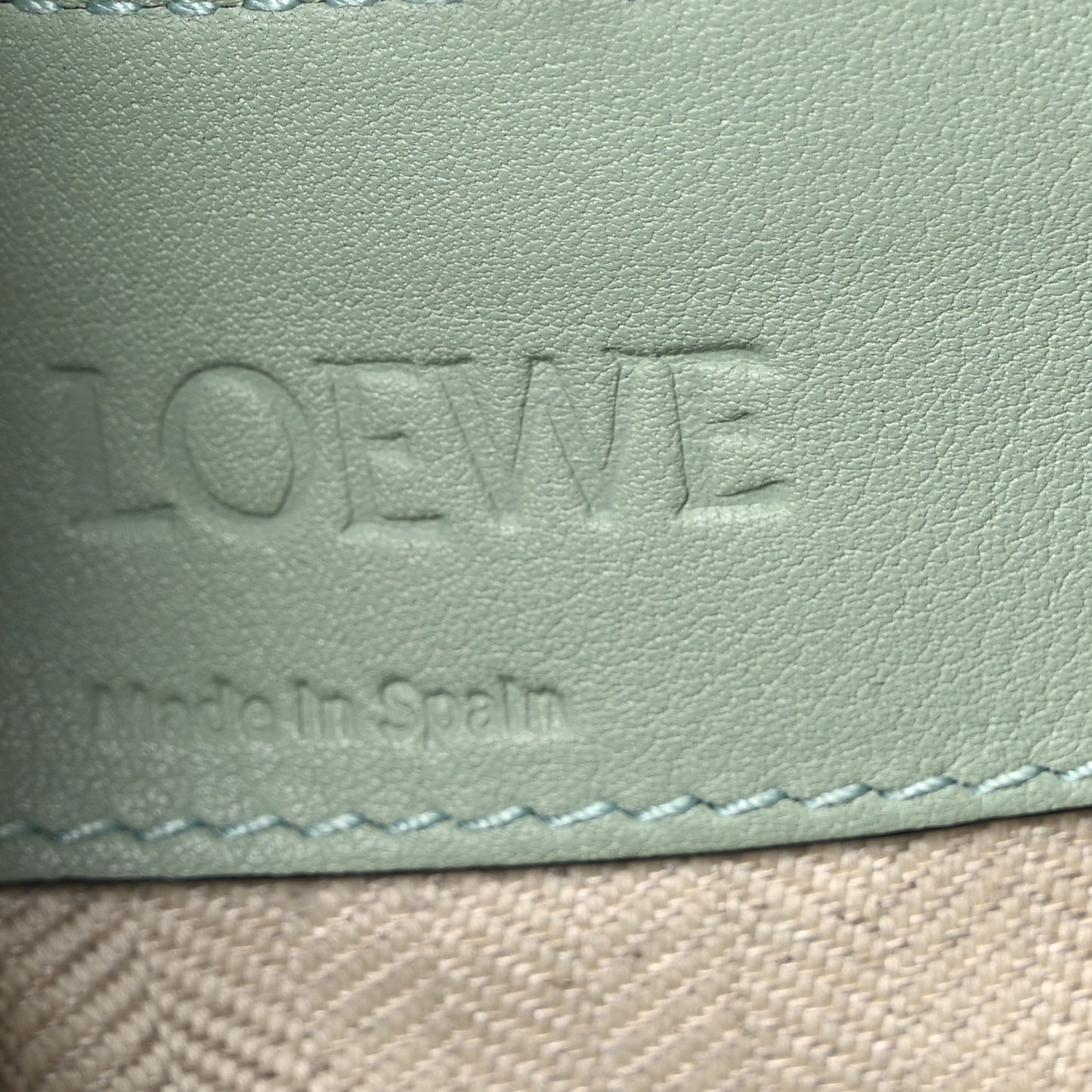 Soft Grained Calfskin Medium Hammock Shoulder Bag Light Green