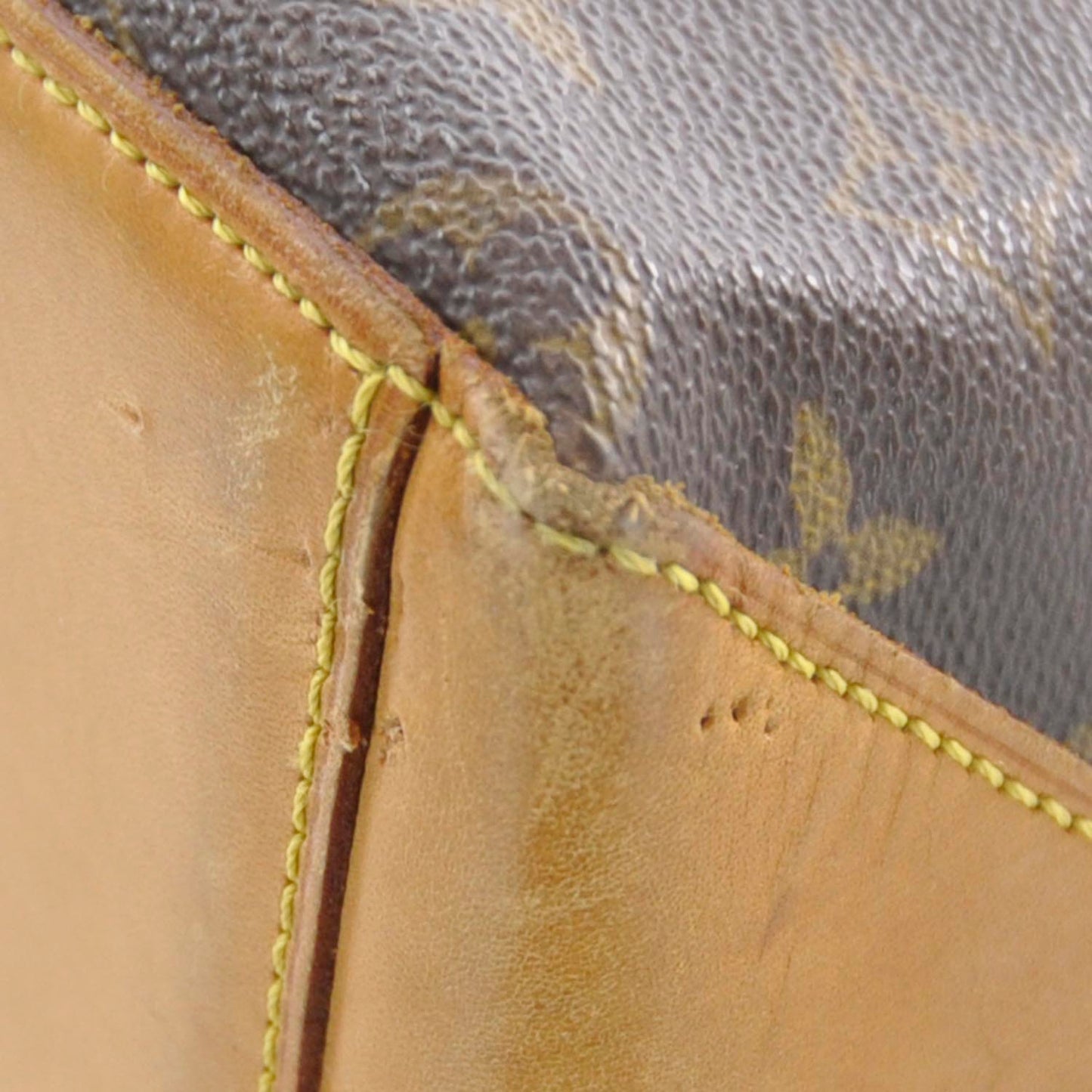 Monogram Cabas Mezzo