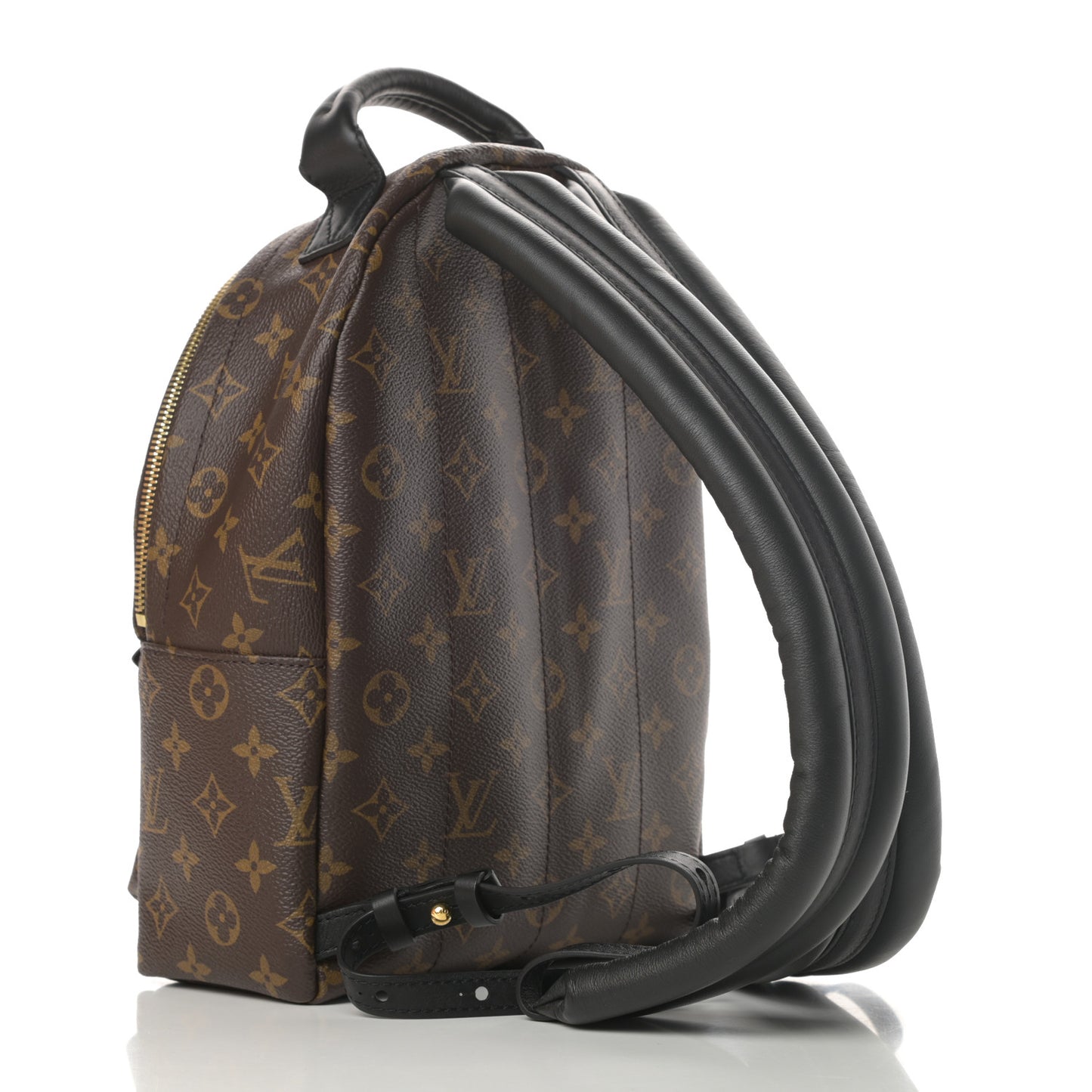 Monogram Palm Springs Backpack PM