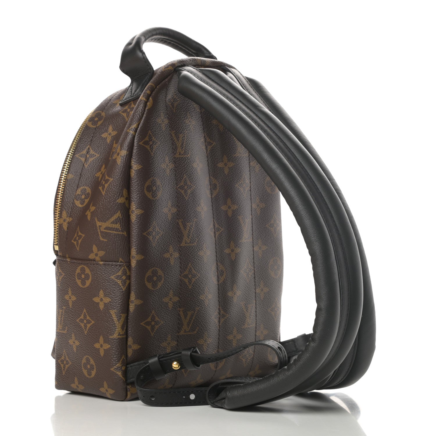 Louis Vuitton Monogram Palm Springs Backpack PM 3 of 12