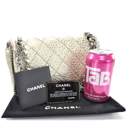 Chanel Leather Medium Leo Lion Flap Metallic 3 of 10