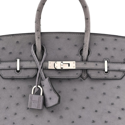 Hermes Ostrich Birkin 25 Gris Agate 8 of 15