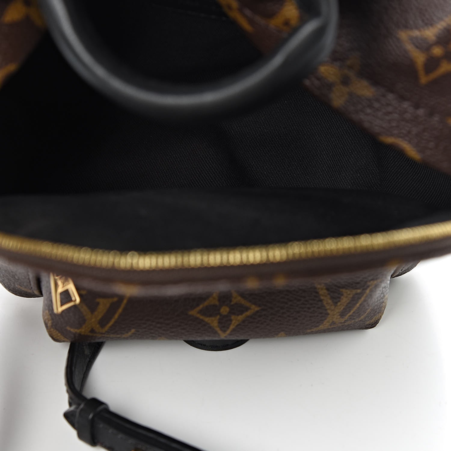 Louis Vuitton Monogram Palm Springs Backpack Mini 5 of 11