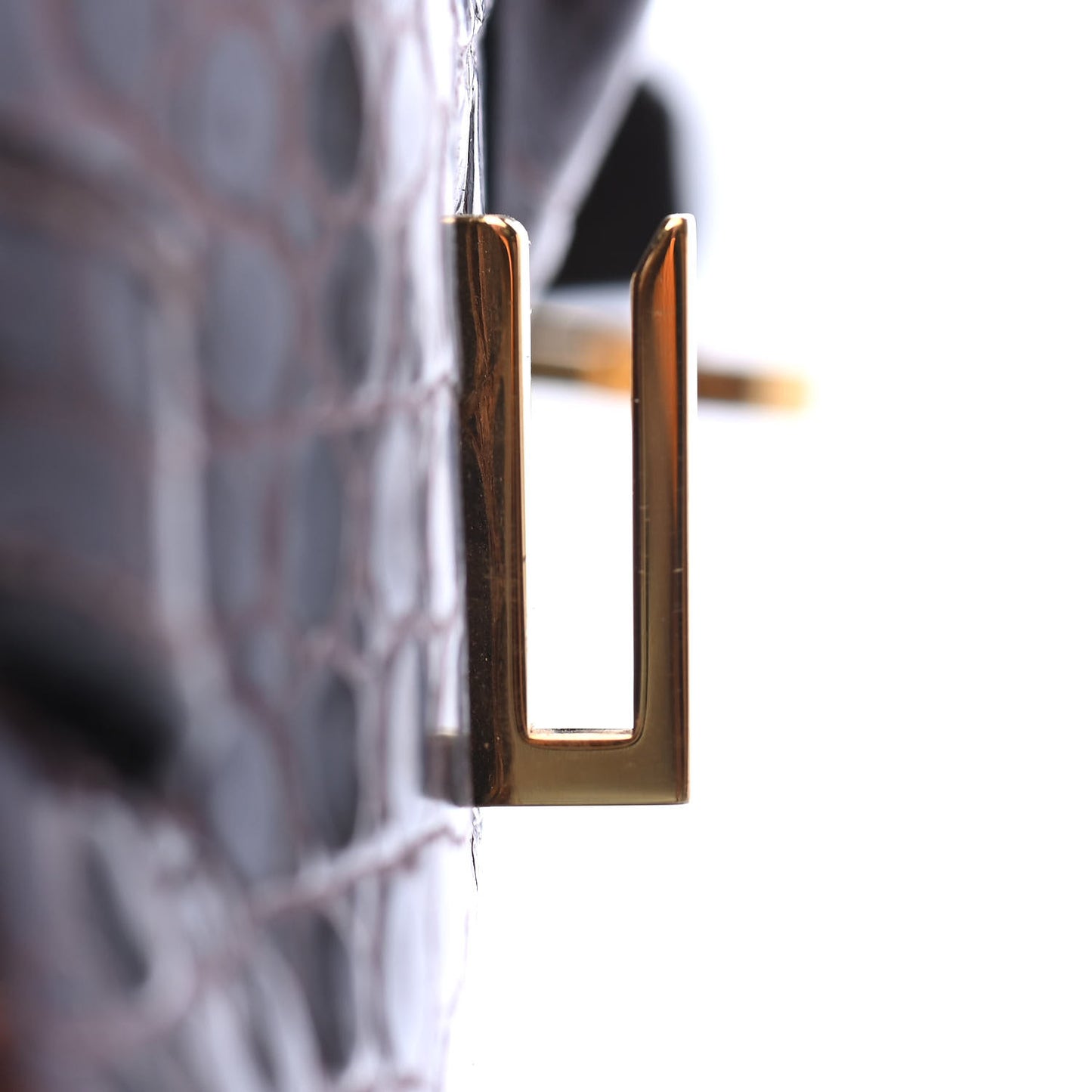 Shiny Porosus Crocodile Birkin 35 Cocoan