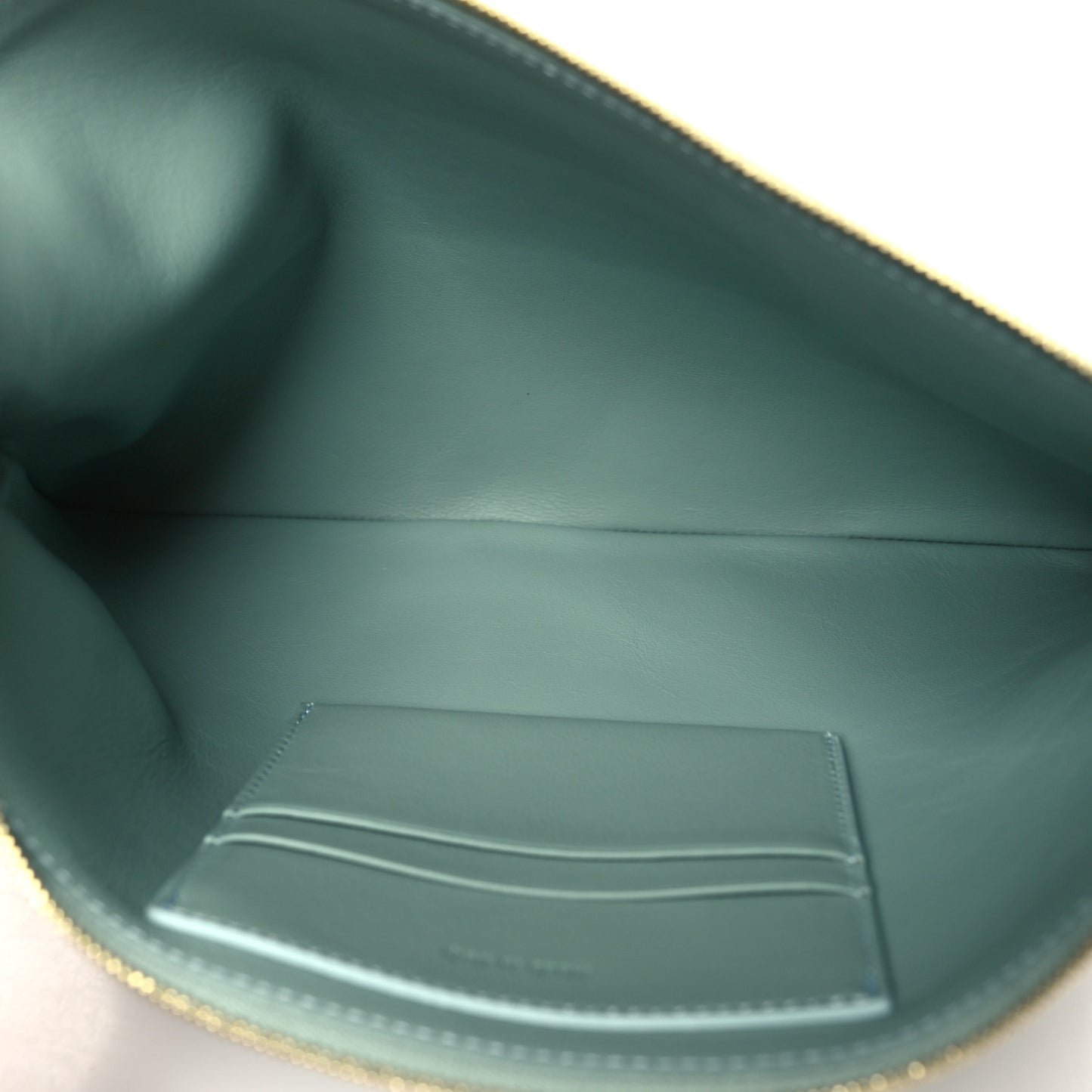 Cloudy Lambskin Solo Zip Pouch Celadon