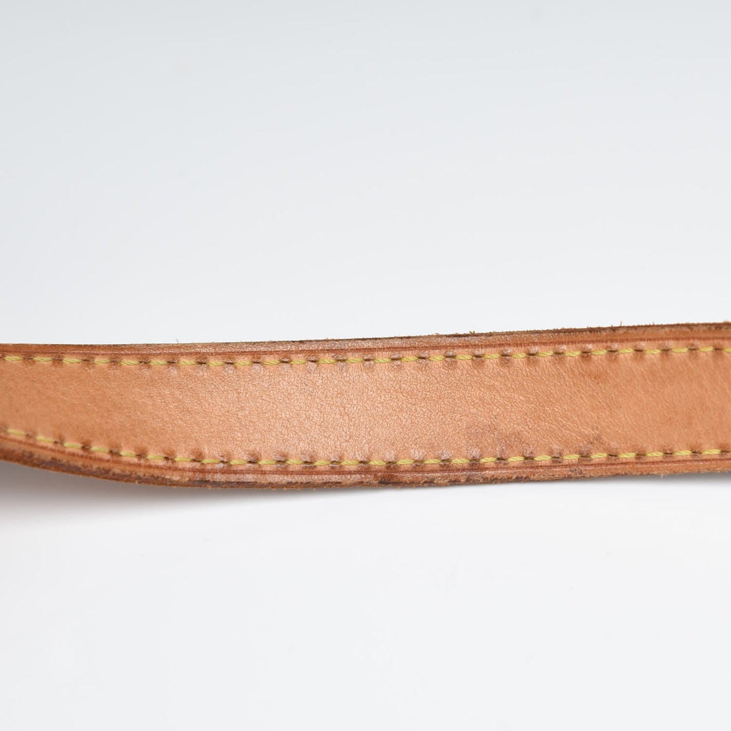 Monogram Ellipse GM Shopping Bag