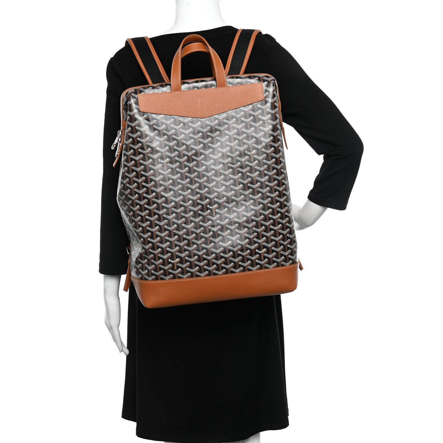 Goyard Goyardine Calfskin Cisalpin Backpack Black Gold 2 of 9