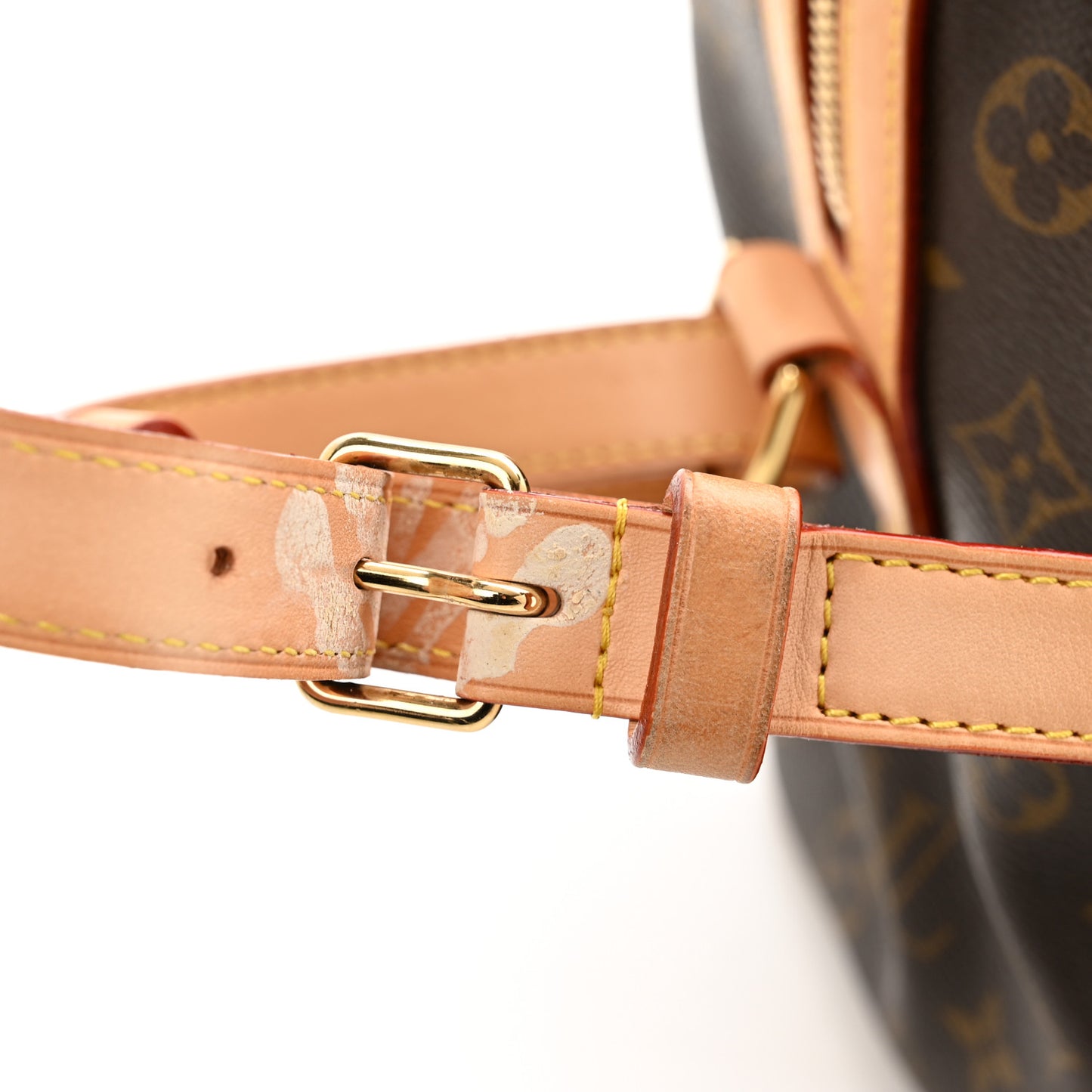 Monogram Sofia Coppola Speedy