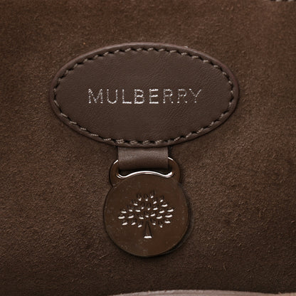 Mulberry Silky Calf Small Willow Tote Taupe 6 of 12