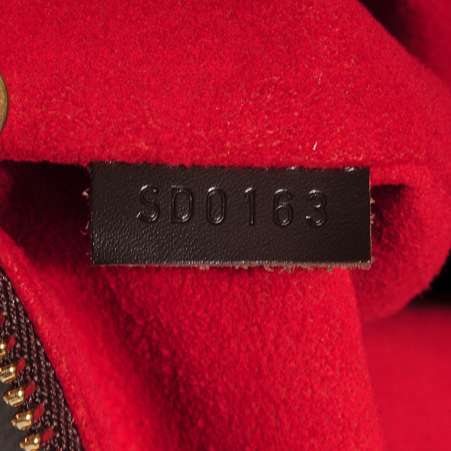 Damier Ebene Evora MM