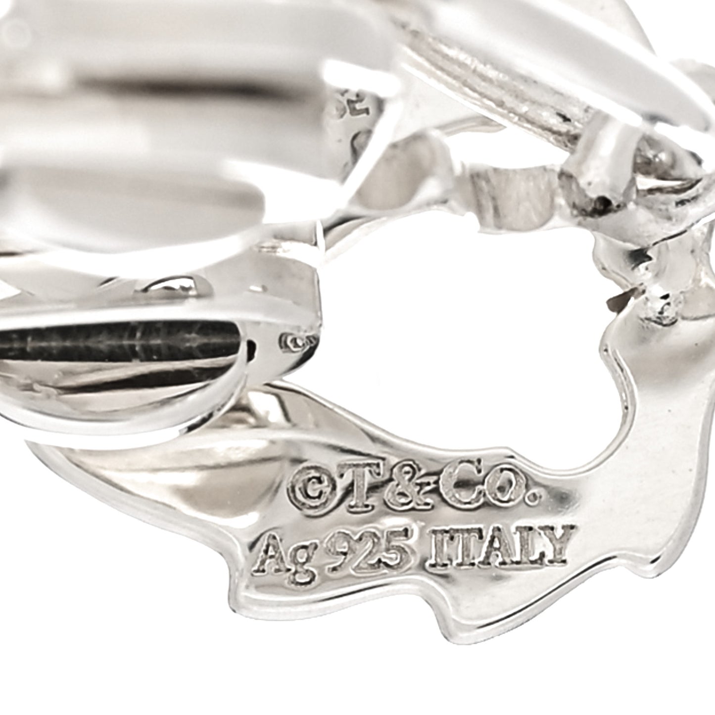 Sterling Silver Save The Wild Lion Charm