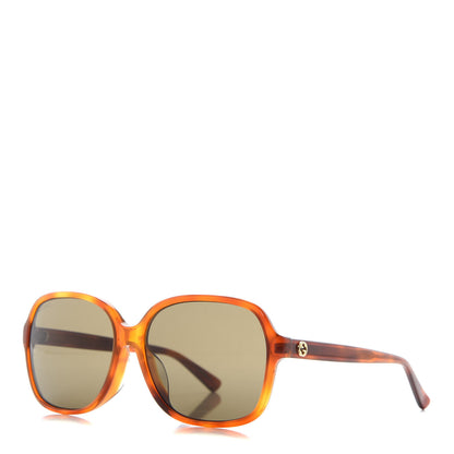 Gucci Acetate Square Frame Sunglasses GG 3834/F/S Tortoise 1 of 8