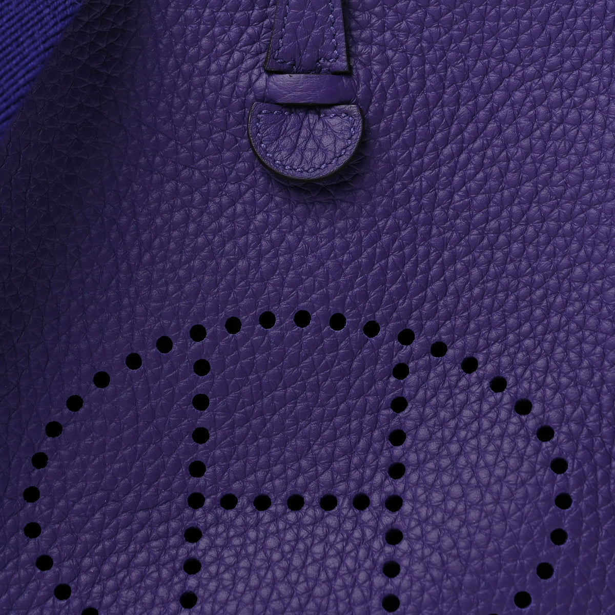 Taurillon Clemence Evelyne TPM Purple