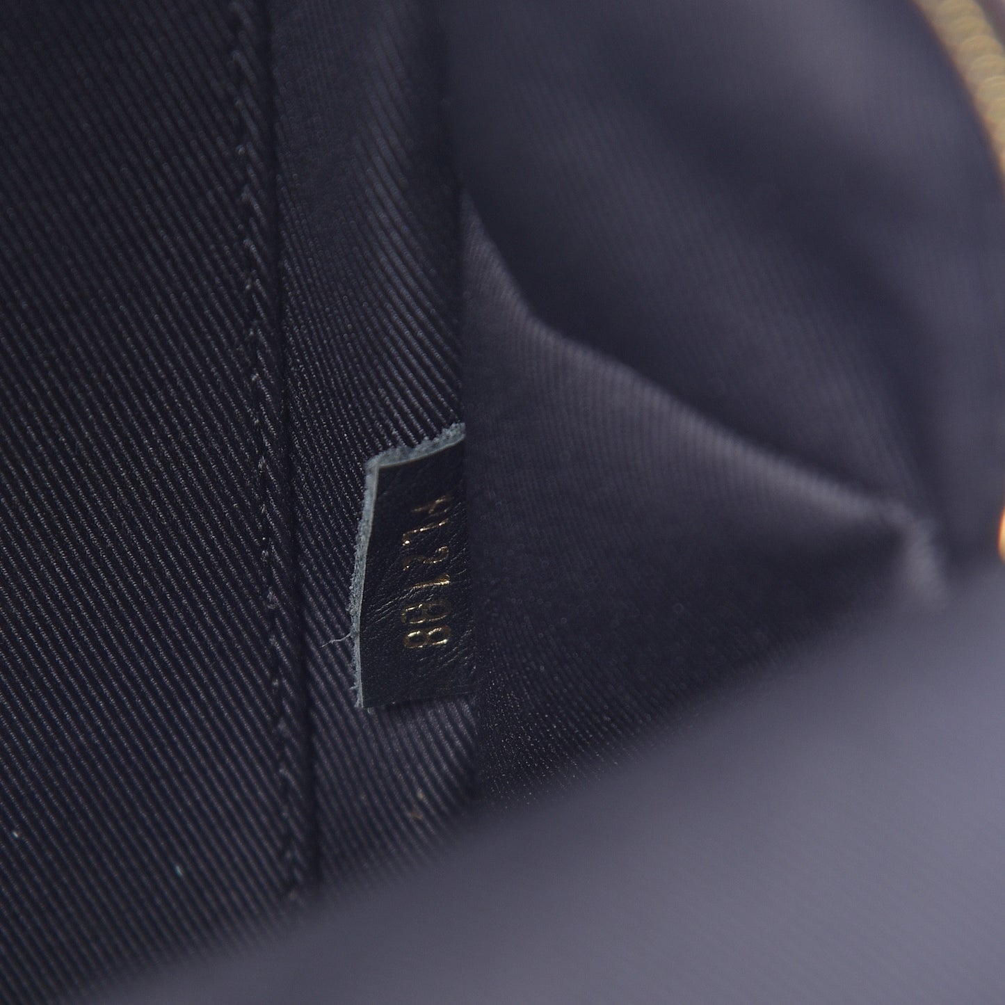 Monogram Palm Springs Backpack Mini