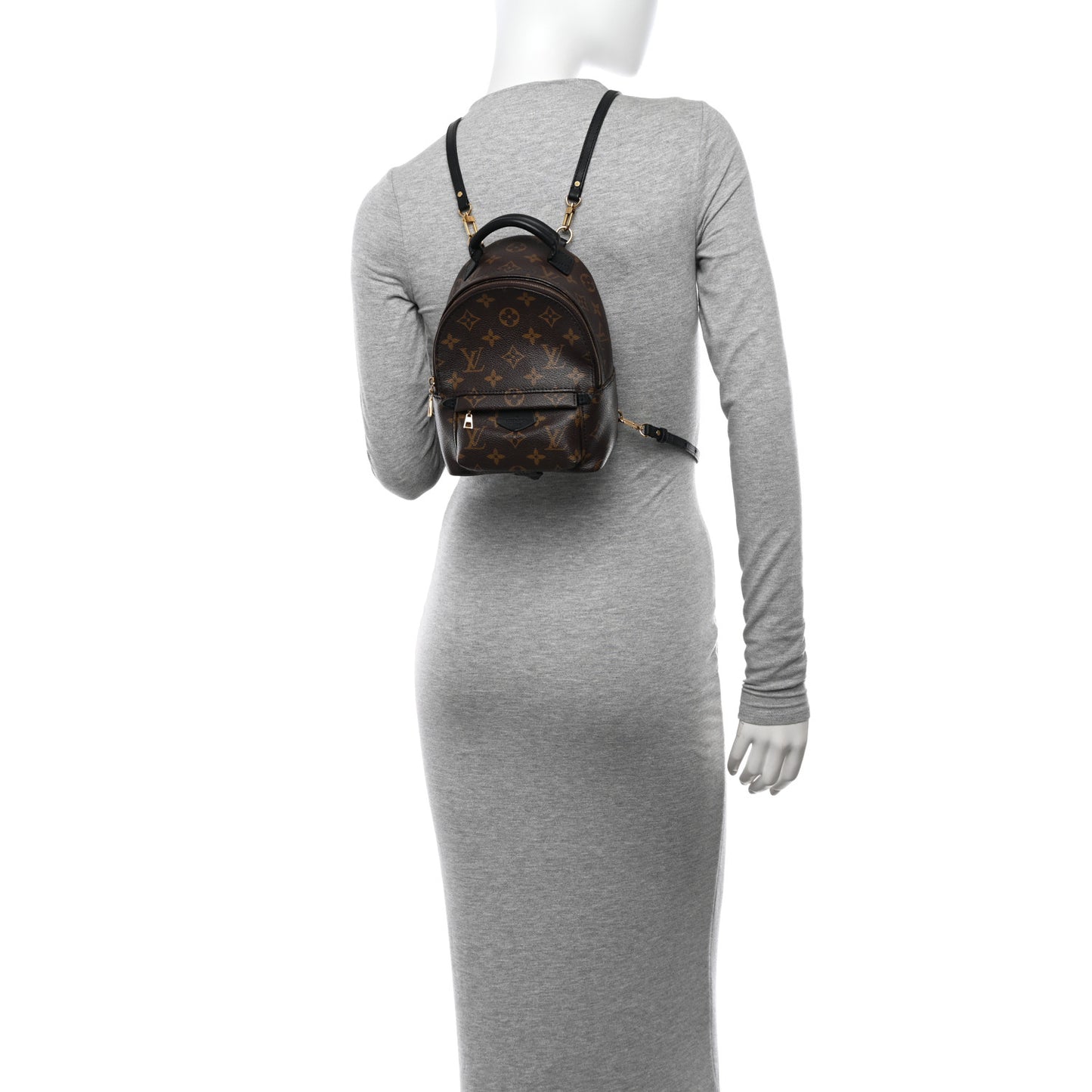Monogram Palm Springs Backpack Mini