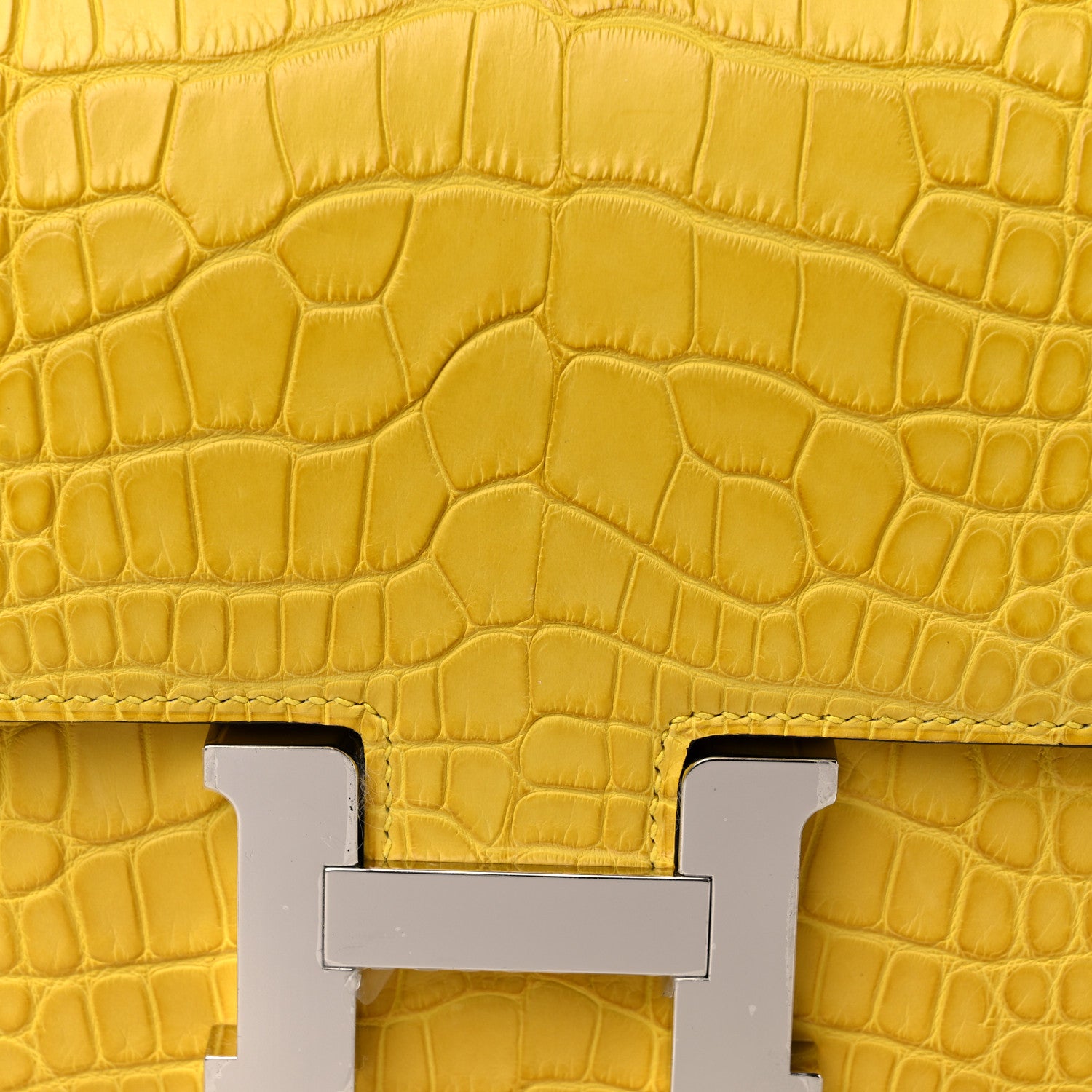 Hermes Matte Alligator Constance 24 Mimosa 11 of 12