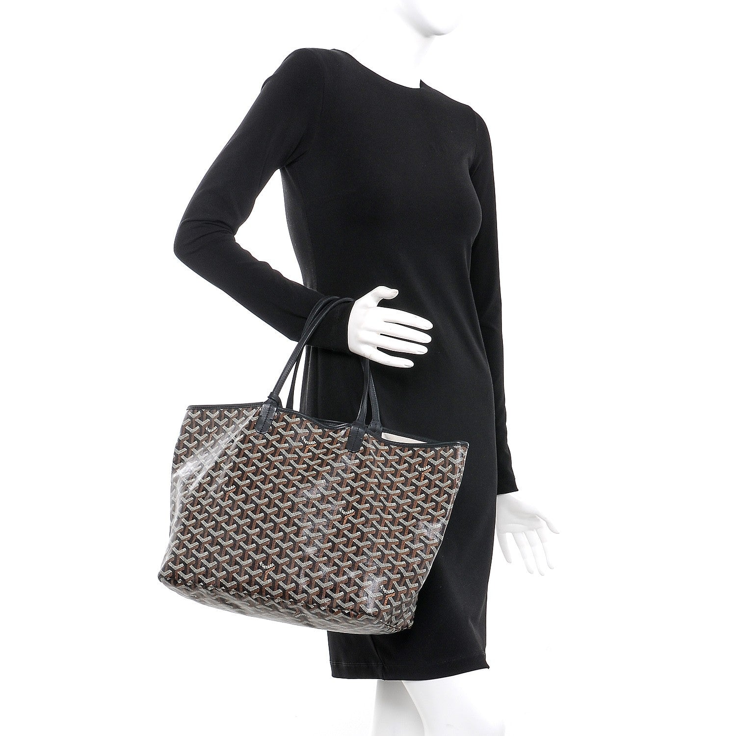 Goyard Goyardine Saint Louis PM Black 2 of 15