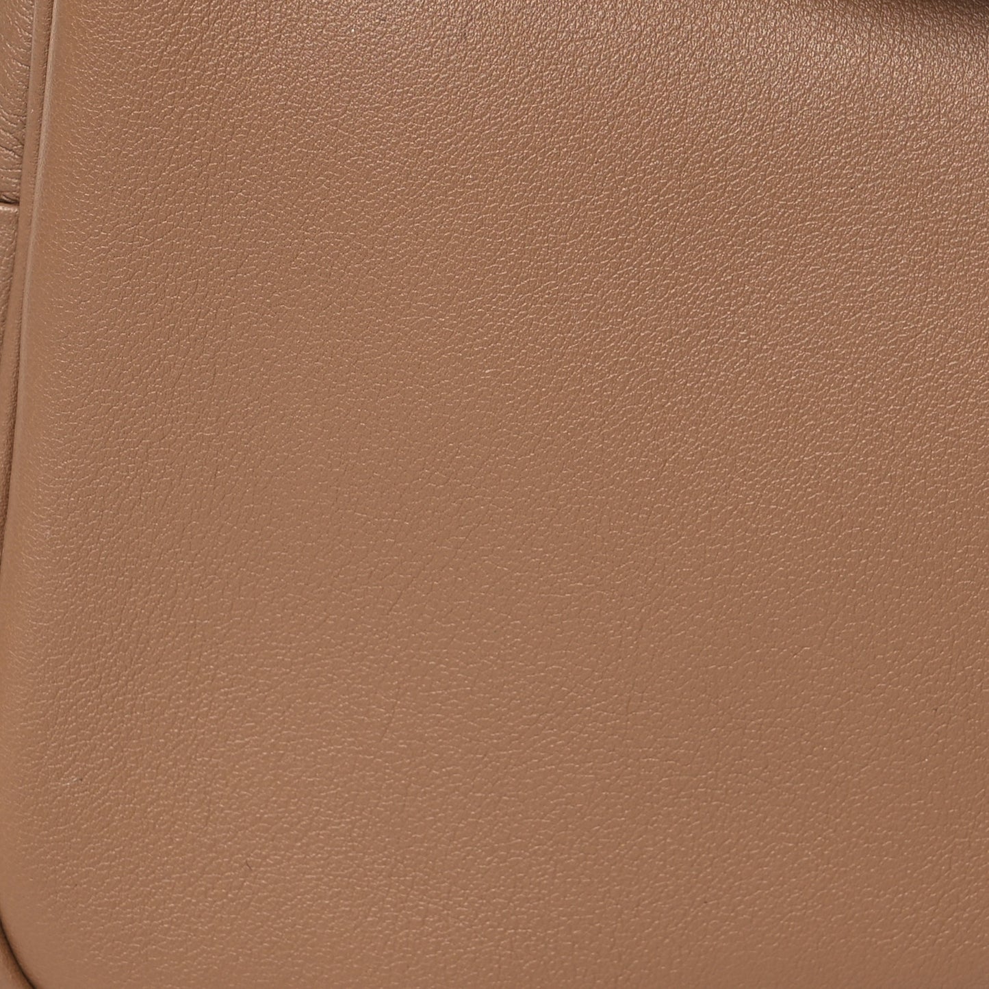 Swift Verso Mini Lindy 20 Alezan Biscuit
