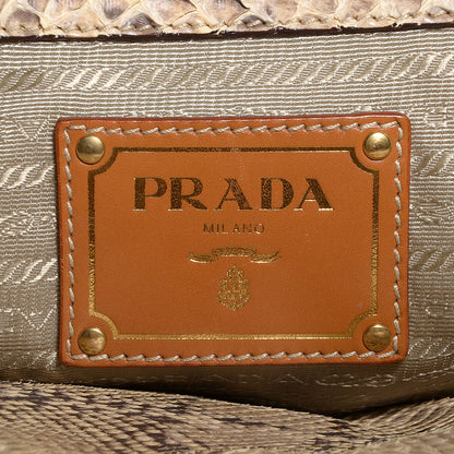 Prada Jute Python Large Frame Bag 6 of 9