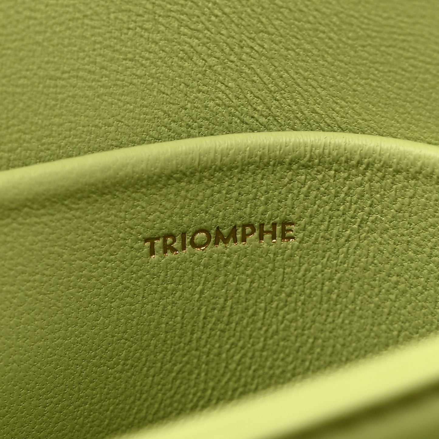 Shiny Calfskin Teen Triomphe Almond Green