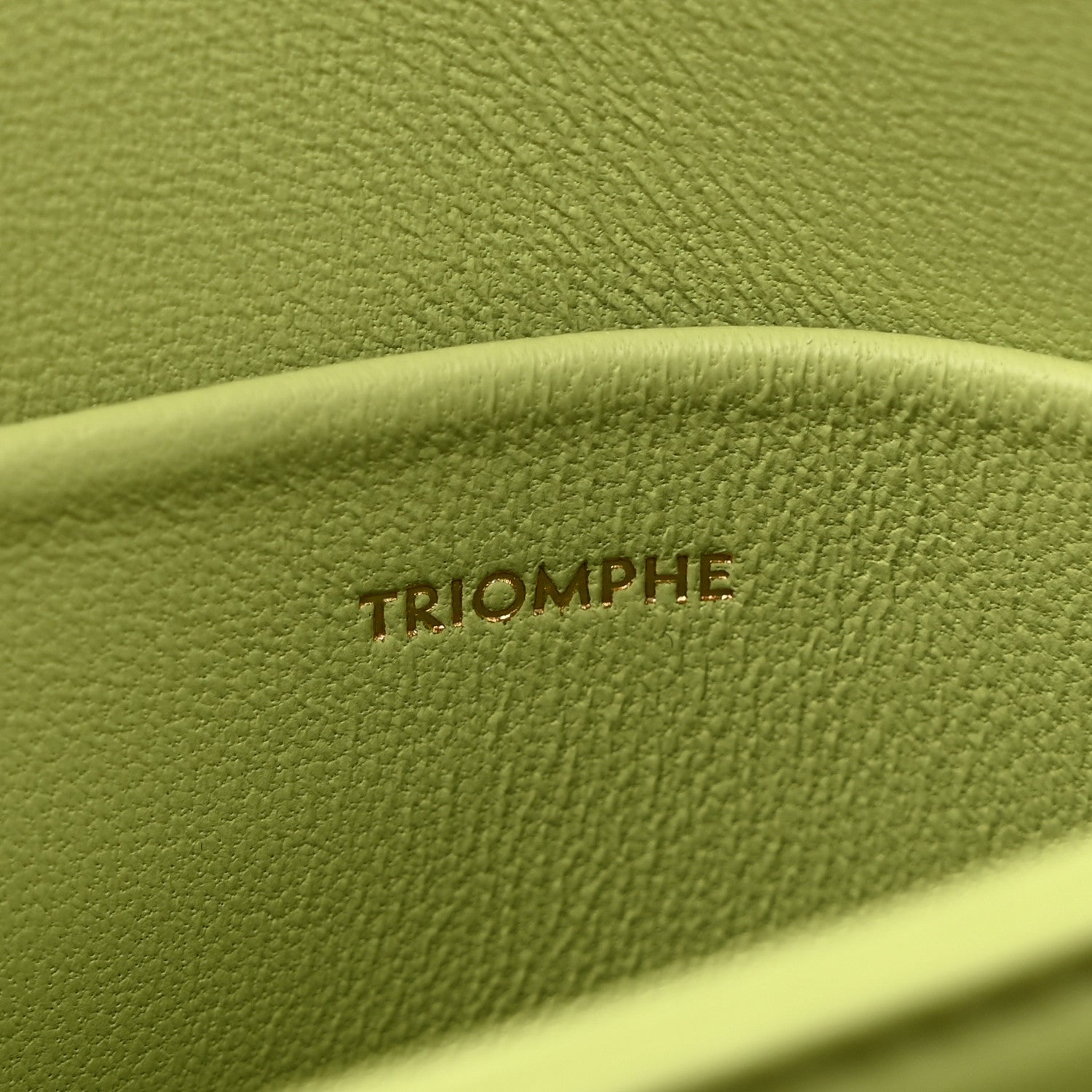 Celine Shiny Calfskin Teen Triomphe Almond Green 7 of 11
