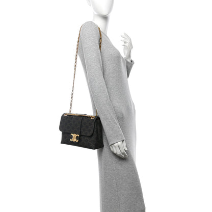 Celine Triomphe Canvas Medium Victoire Tan 2 of 11