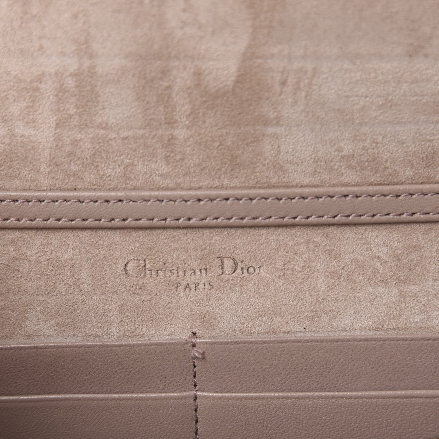 Grained Calfskin Diorama Wallet on Chain Pouch Nude