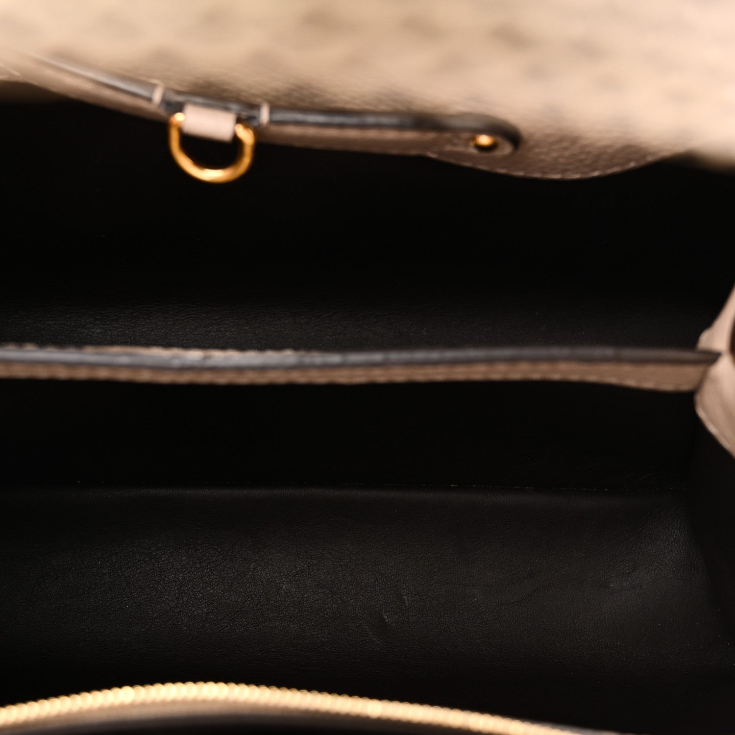 Louis Vuitton Taurillon Snakeskin Capucines PM Galet 5 of 10