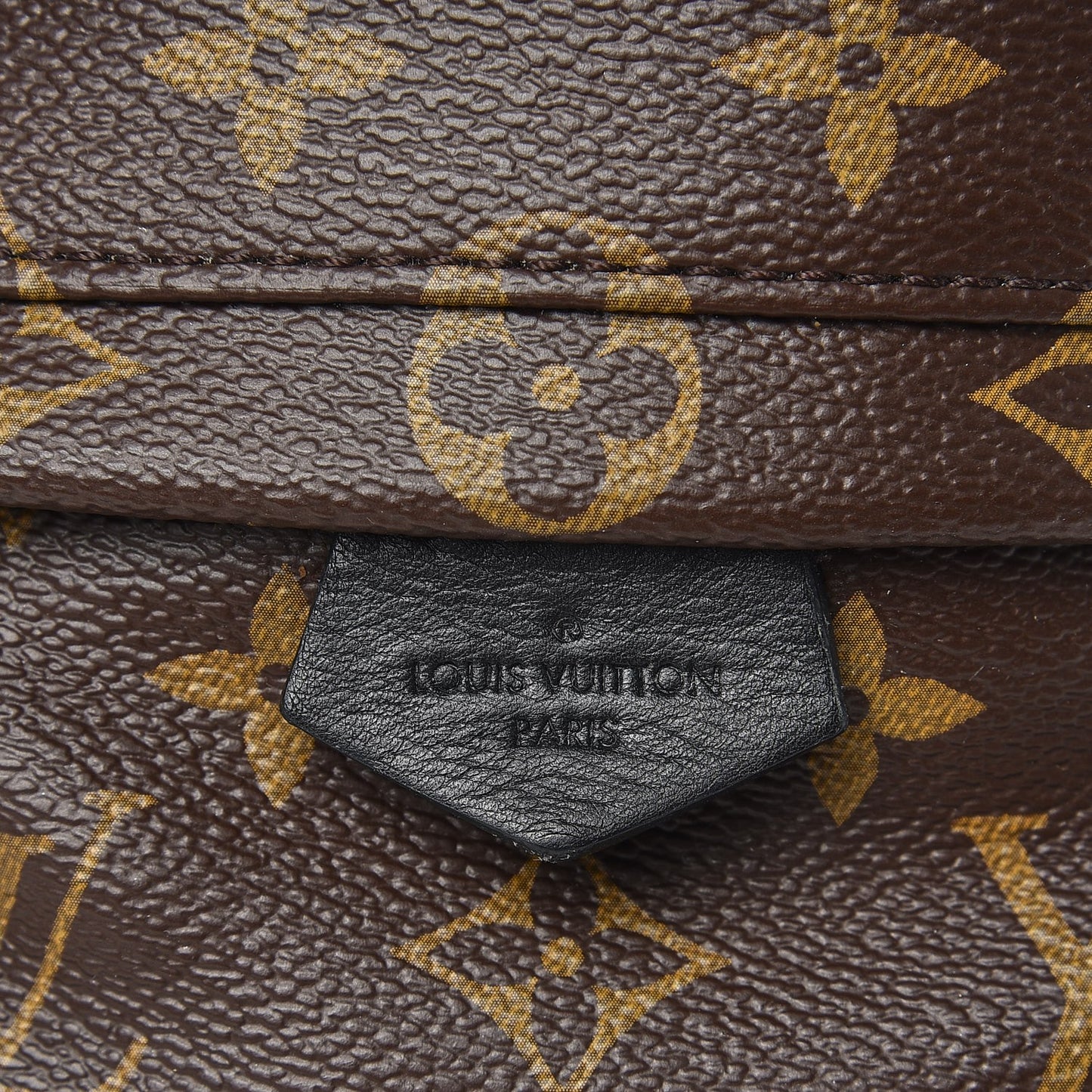 Monogram Palm Springs Backpack Mini