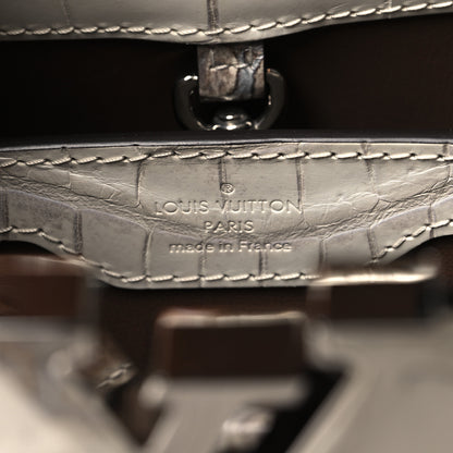Louis Vuitton Himalaya Crocodile BB Capucines 6 of 9