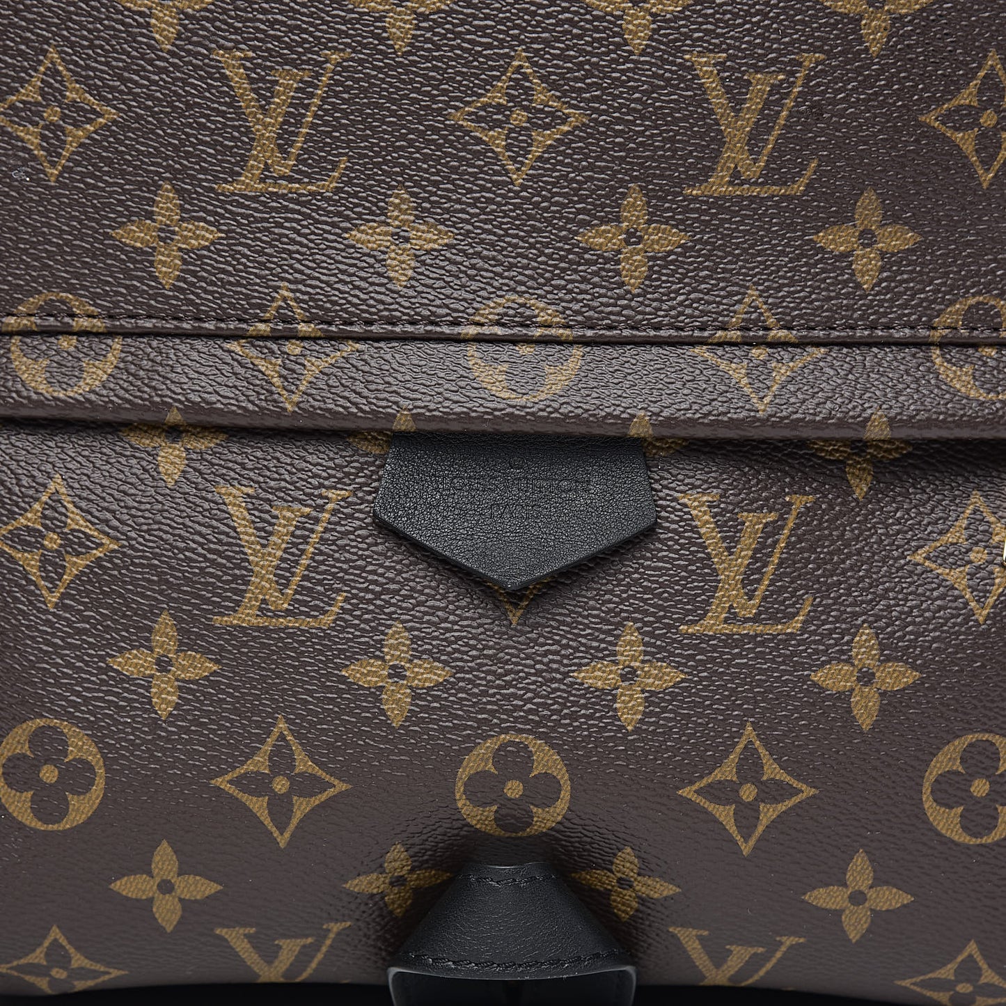 Monogram Palm Springs Backpack MM