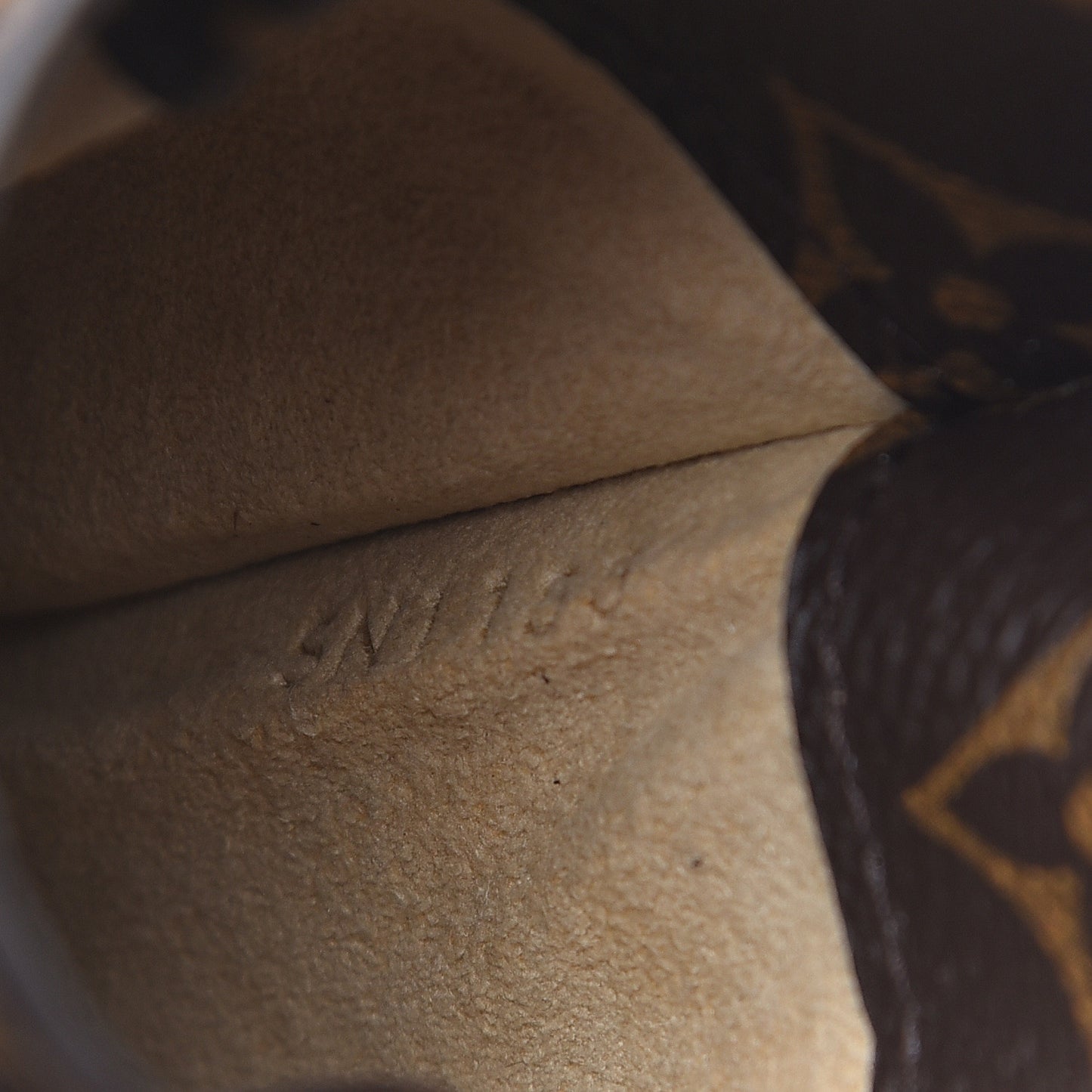 Monogram Sunglasses Case MM