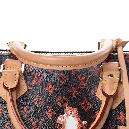 Louis Vuitton Catogram Speedy Bandouliere 30 Marron 15 of 16