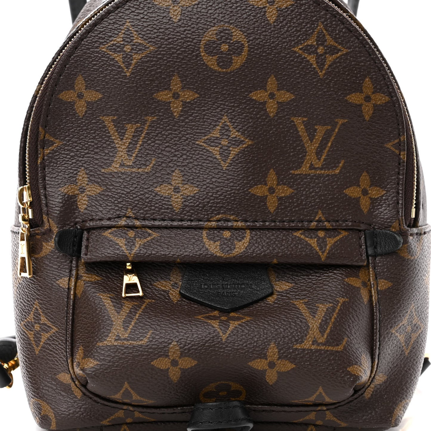 Monogram Palm Springs Backpack Mini