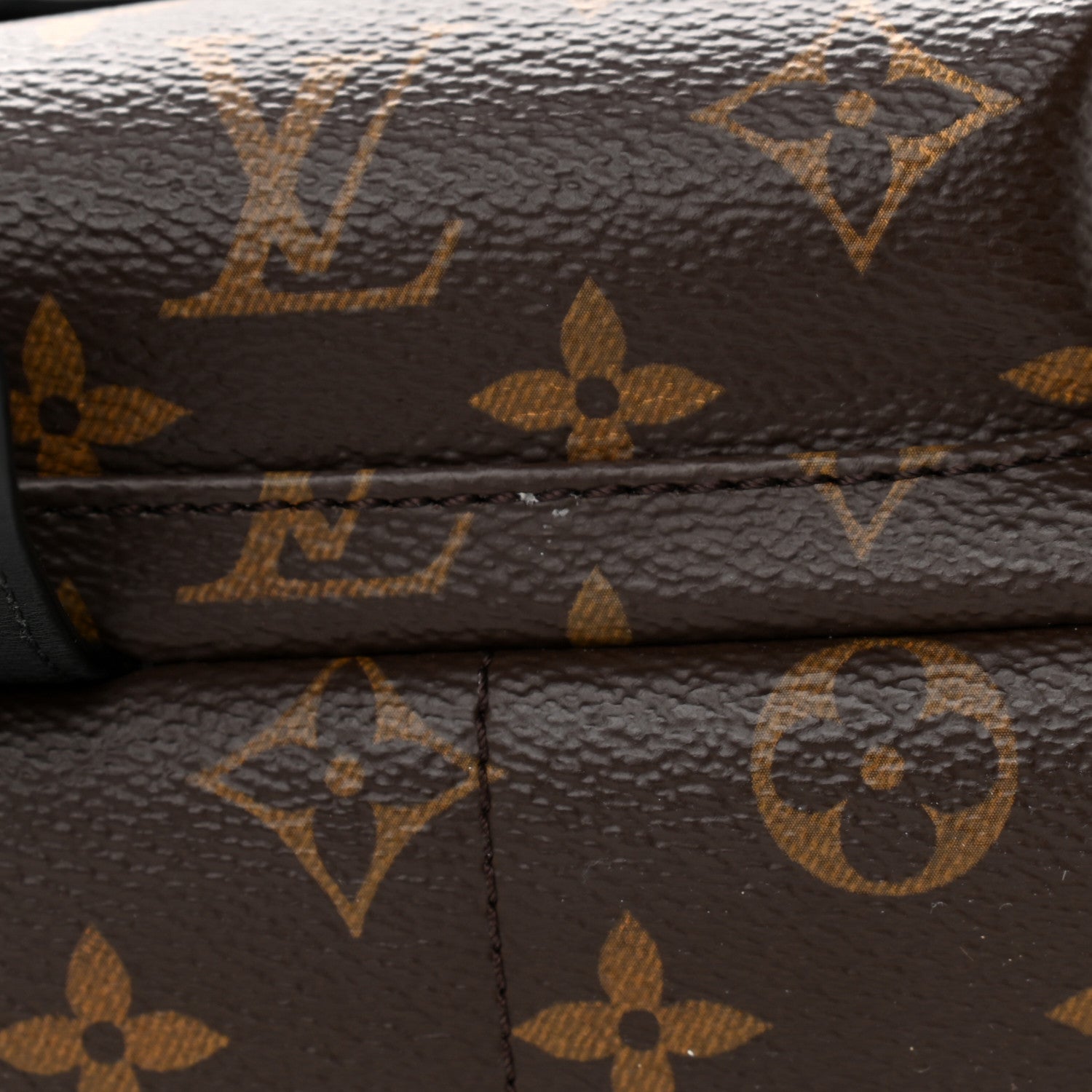 Louis Vuitton Monogram Palm Springs Backpack MM 12 of 12